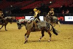 Quadrille - 00802
